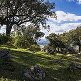 Essential 4 parques y jardines